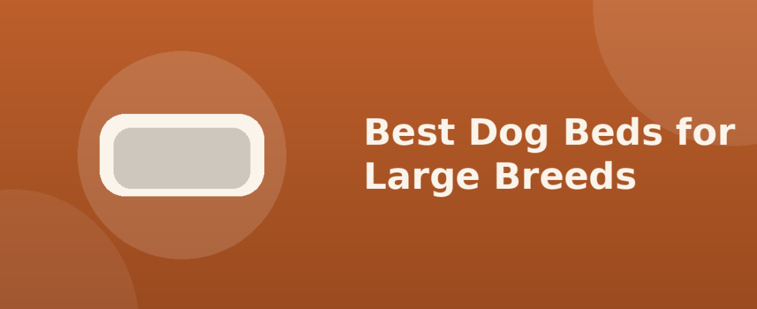 Best Dog Beds for Large Breeds: What Actually Matters