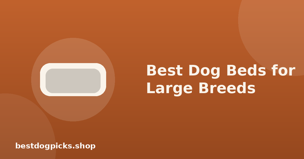 Best Dog Beds for Large Breeds: What Actually Matters