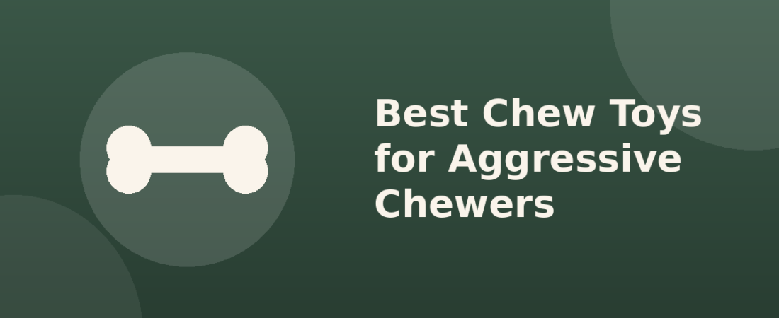 Best Chew Toys for Aggressive Chewers (And How to Tell If a Toy Is Actually Safe)