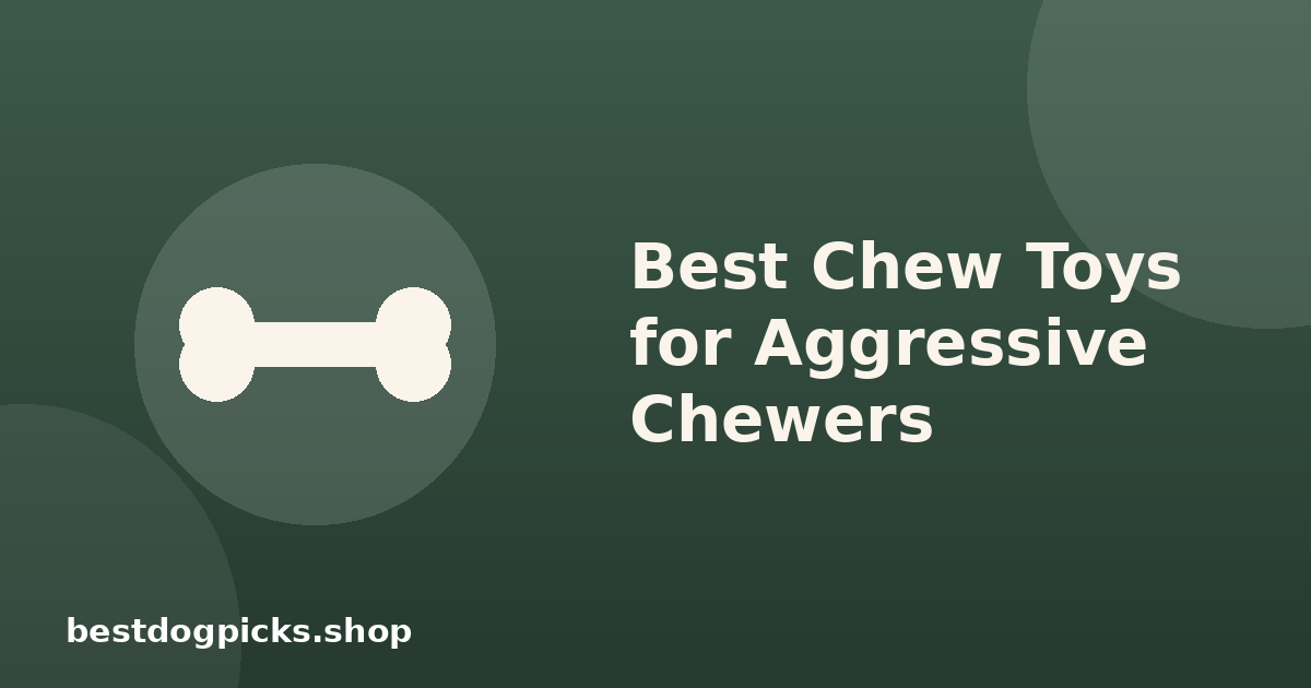 Best Chew Toys for Aggressive Chewers (And How to Tell If a Toy Is Actually Safe)