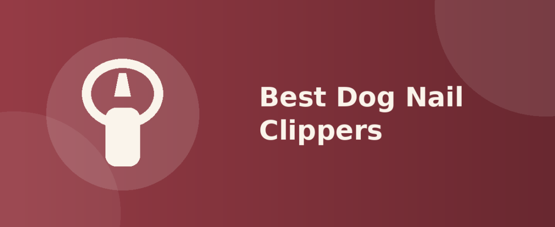 Best Dog Nail Clippers: How to Trim Safely Without Hitting the Quick