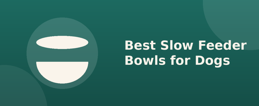Best Slow Feeder Bowls for Dogs: Why Speed Actually Matters
