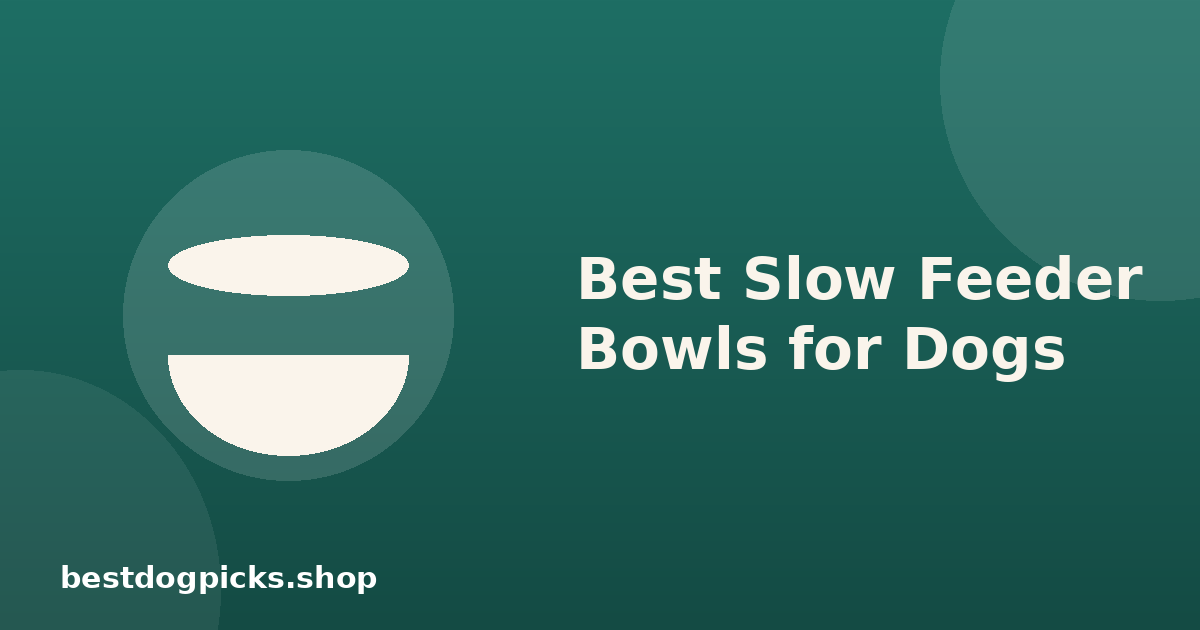Best Slow Feeder Bowls for Dogs: Why Speed Actually Matters