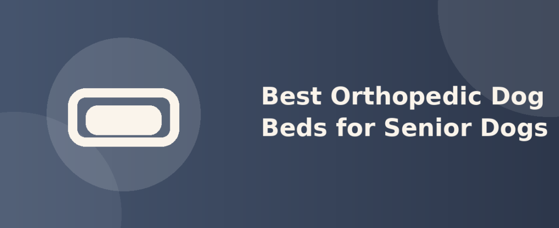 Best Orthopedic Dog Beds for Senior Dogs: What Actually Helps Aging Joints