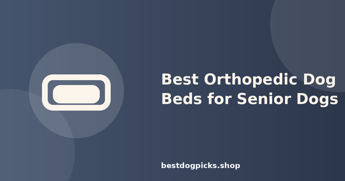 Best Orthopedic Dog Beds for Senior Dogs: What Actually Helps Aging Joints